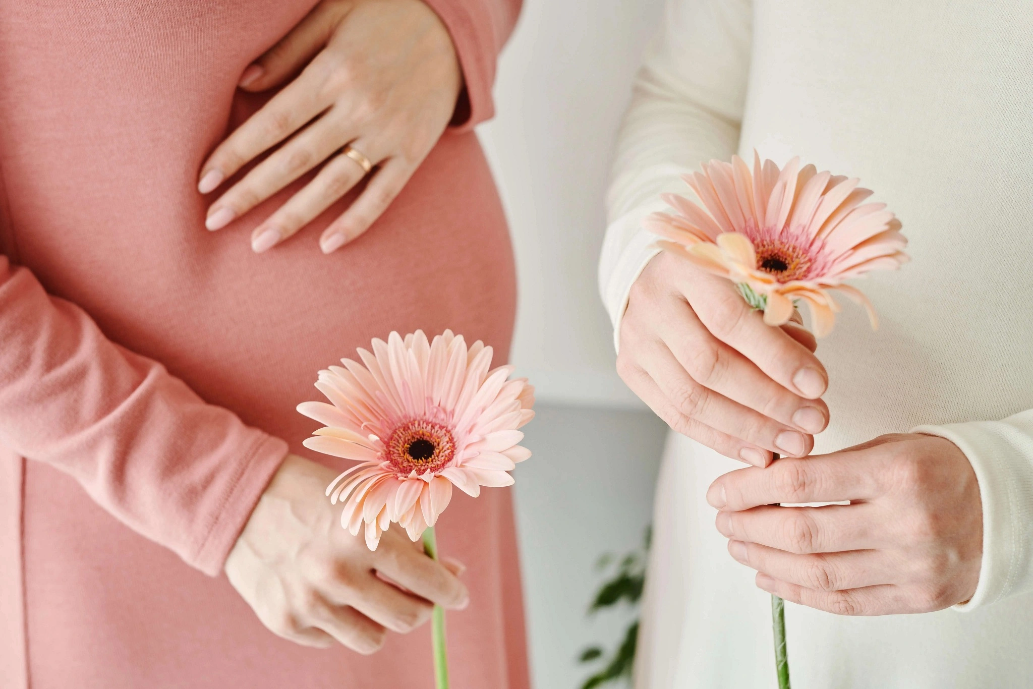 Hero image blooming pregnancy